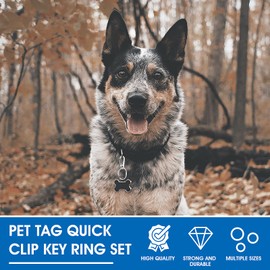 TIESOME Dog Tag Clips with Rings, 6 PCS Dog ID Tag Clips 18 PCS Tag Rings Stainless Steel Pet Tag Clip Easy Change Dog ID Tag Holder Quick Release for Dog Cat Collar and Harness 1.3 x 0.6 in