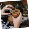 Levemolo 12 Pack Tree Mulch Ring Mats Coir Fiber Coconuts