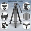 SCG Basic 65" Video Tripod with Fluid Head, F5 Professional