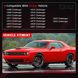 Dtomi Front Door Window Belt Molding Weatherstrip Left and Right Compatible with Dodge Vehicle Challenger 2008-2016 2Door Replace# 55399122AG 55399123AG