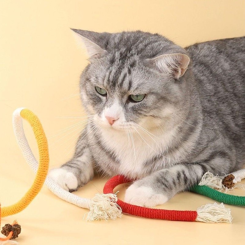 CWPFVQA 3-Piece Cat Toy, Interactive Cat Toy, Chew Toy, Pet