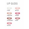 Hildegard Braukmann Colour Emotions Lip Gloss Apricot Pack of 1