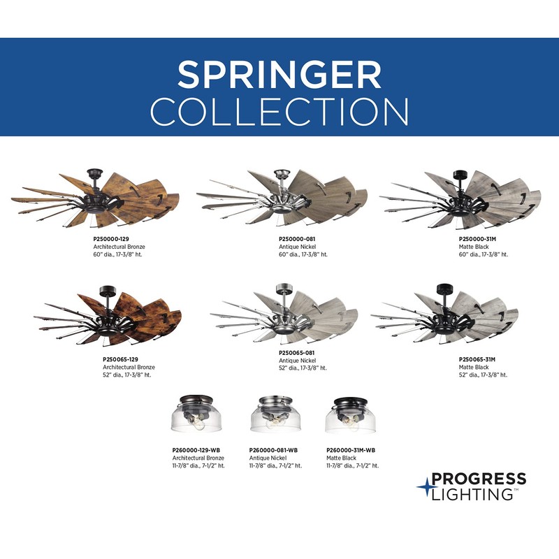 Springer Collection Clear Glass Light Kit Architectural Bronze