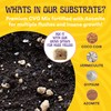 SPORE SORCERY 13 LB Monotub Refill Kit | Includes: 5