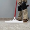 ROBERTS 12" Carpet Rake and Groomer with 51" Handle