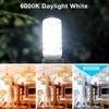 DAYBEETER 24 Pack Dimmable G9 LED Bulb 4W (40 Watt