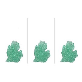 The Scented Castle 3 Pack Cactus and Sea Salt Scented Michigan Shape Car Air Fresheners