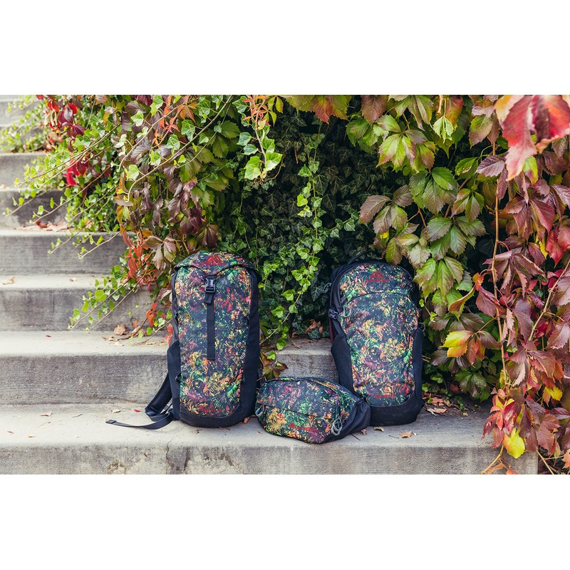 Gregory Mountain Products Nano 18 Everyday Outdoor Backpack, Tropical Forest,