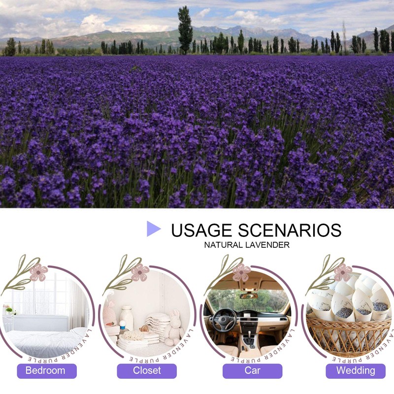 CoolCrafts Dried Lavender Flowers, Dry Lavender Buds Bulk Wholesale Fragrant