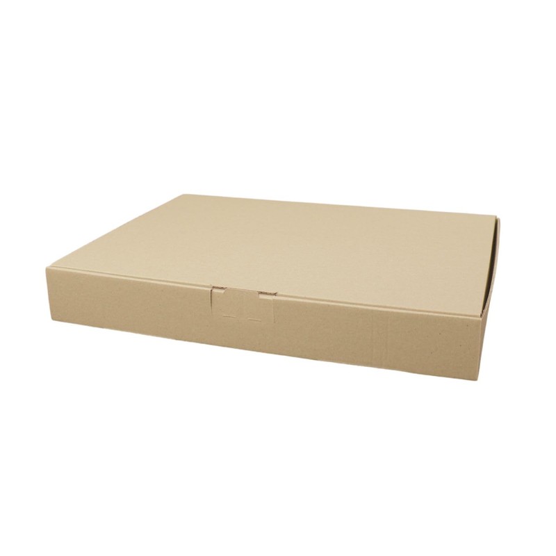 Maxi Letter Box MB3 Brown 240 x 160 x 50