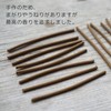 LUCAS White Sage Purifying Incense (White Sage [Stick Type]) Purifying