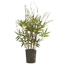 Nearly Natural 5360 27-Inch Bamboo Tree with Cement Pot, Green
