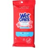 Wet Ones Antibacterial Wipes 20 ct Travel Case Fresh Scent