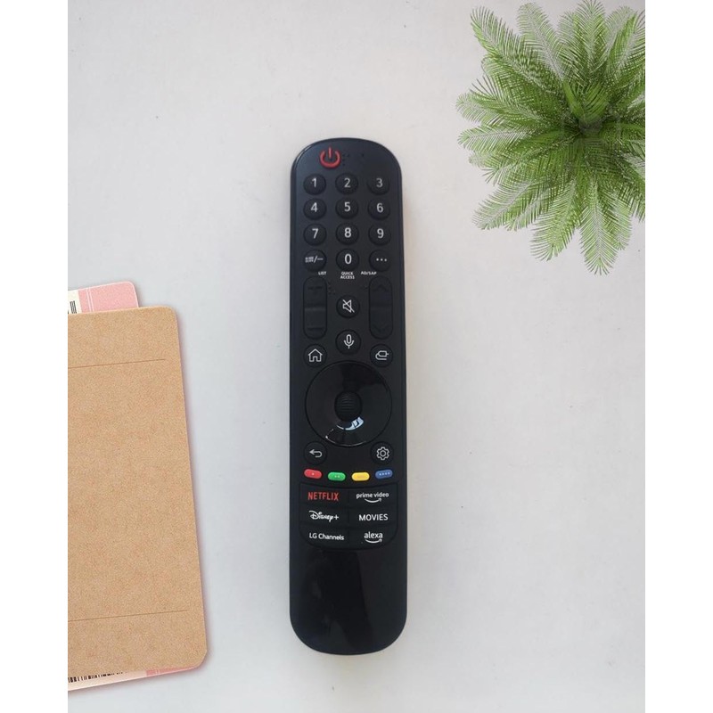 MR23GA Replacement Remote Control with Voice and Pointer Function Easy