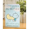 Big Brother Card - Big Brother Card for New Baby