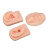 3D Nose and Mouth Model Silicone Ear Model Simulation Display
