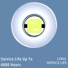 1PC P13.5S Mag Light LED Bulb 3-6 C&D Cells Torch