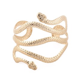 JIgeren Alloy Armband Upper Arm Bracelet Metal Coil Swirl Snake Shape Armband Cuff Fashion Simple Arm Bangle Armlet Adjustable Gold