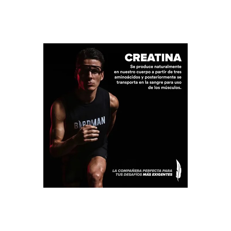 Creatina Monohidratada Pura 3 Botes De 450g 270 Serv Birdman