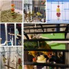 Yih Vane 2 x Bird Skewers Stainless Steel Vegetable Fruit