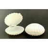 2.5 Inch White Plastic Seashell Clam Shell Party Favors Bulk
