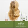 Biolage Strength Recovery Conditioning Cream 280ml