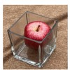 Decorative Glass Flower Vase, 4x4x4 inches, Square, Clear Centerpiece 2