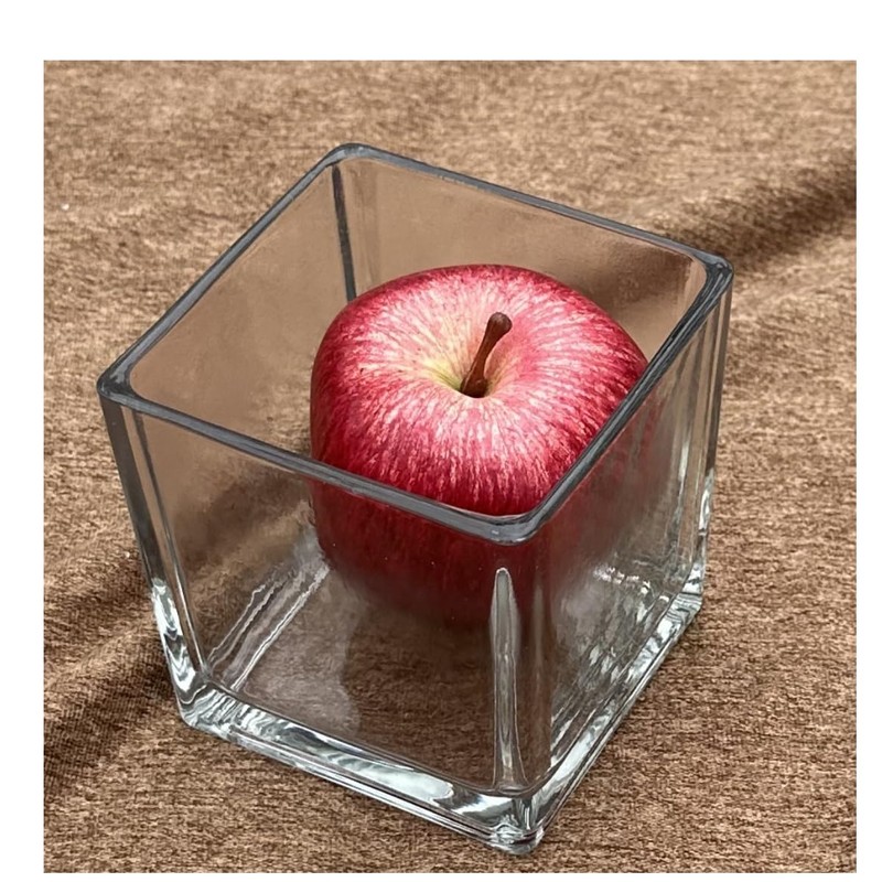 Decorative Glass Flower Vase, 4x4x4 inches, Square, Clear Centerpiece 2
