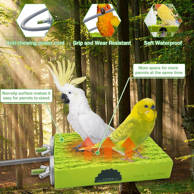2-Pack Bird Heater for Cage Bird Warmer Snuggle-Up Perch Stand