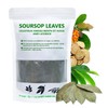 Soursop Leaf Tea with Licorice Root & Celastrus Hindsii, Re-Steep