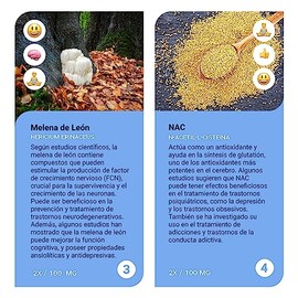 Sapientia Studia Nootrópico 100 natural - Complejo B, Leticina de Soya, Alpha GPC, Ginseng, Melena de León, Omega 3                                   