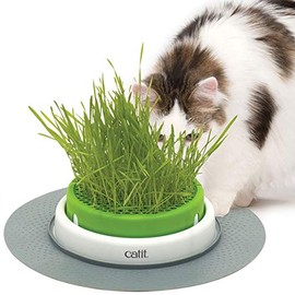 Catit Senses Grass Planter