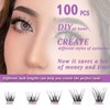 Eyeash Clusters DIY Lash Extensions, 100PCS Natural Individual Lashes Wispy,