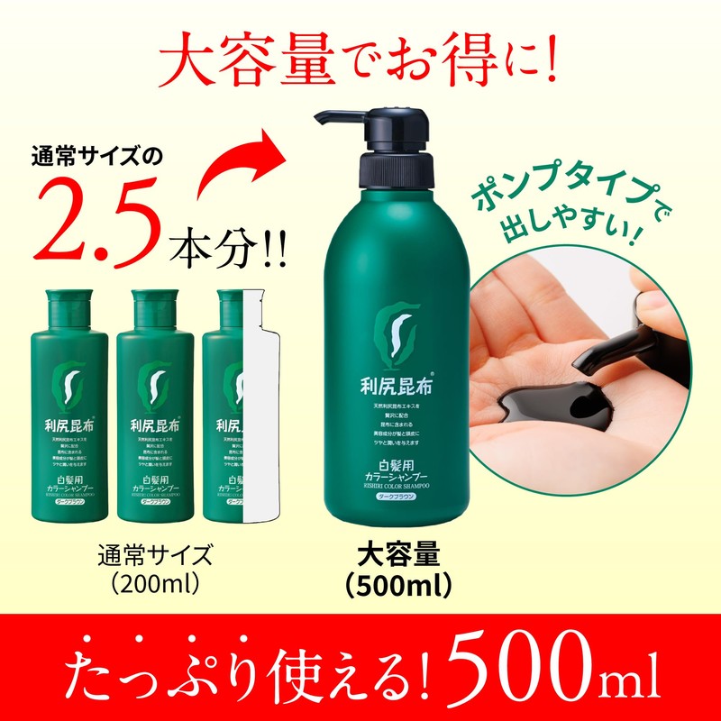 Sastty Rishiri Color Shampoo (Dark Brown) 7.8 fl oz (200