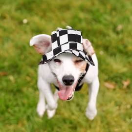 Balacoo Dog Hat and Scarf Set Sun Visor Cap with Ear Holes Cooling Neckerchief Dress Up Prop for Small Dogs Cats