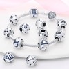 Pandach 12 Zodiac Sign Birthday Charms 925 Sterling Silver Birthstone