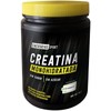 Enerdrive Sport Creatina Monohidratada, Certificación Creapure, 600g, 120 servicios