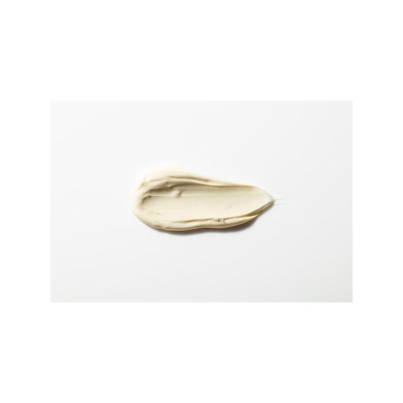 Antipodes Rejoice Light Facial Day Cream 60ml