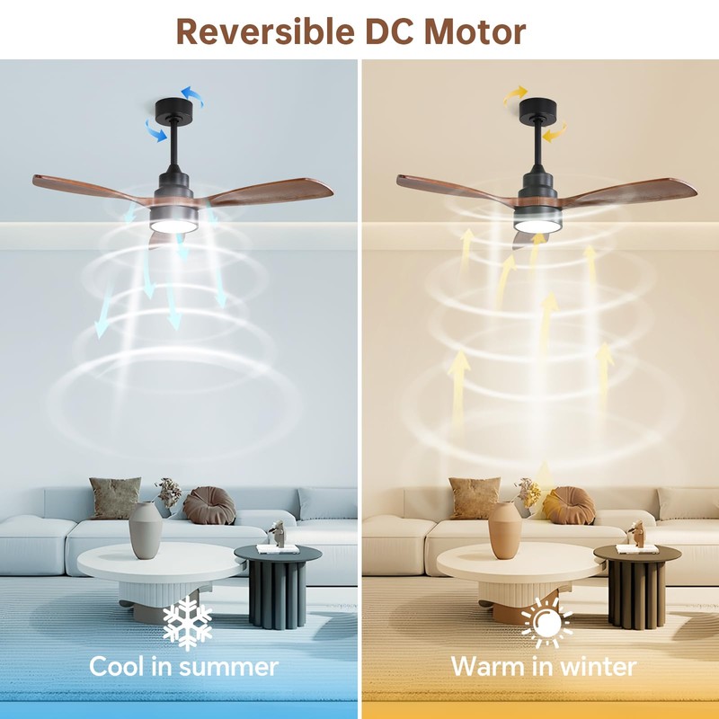 CACI Mall 48 inch Ceiling Fans with Lights, Smart Indoor/Outdoor