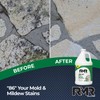 RMR-86 Instant Mold and Mildew Stain Remover Spray - Scrub