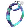 Dazzber Martingale Dog Collars Colourful Oil Painting Pattern Series -