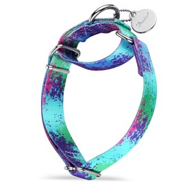 Dazzber Martingale Dog Collars Colourful Oil Painting Pattern Series - No Pull Pet Collar Silky Soft for Medium and Large Dogs (Small, 1.5cm Wide, Ecological Oasis)