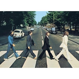 Meecaa Paint by Numbers The Beatles Street Kit for Adults Beginner DIY Oil Painting 16x20 inch (The Beatles, No Frame)