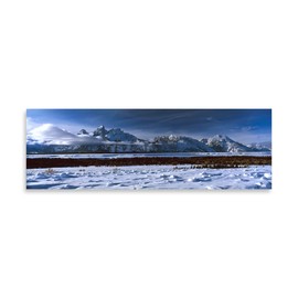 Gango Home Decor Contemporary Grand Tetons Winter by IKE Leahy (Printed on Paper); One 36x12in Fine Art Paper Giclee Print