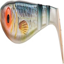 Abu Garcia Svartzonker McPike Paddle Tail Soft Bait Pike Fishing Lure - Realistic Plastic Swimbait for use with Jighead, Real Roach