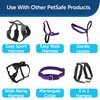 Premier Leash, 1 by 6-Feet, Deep Purple