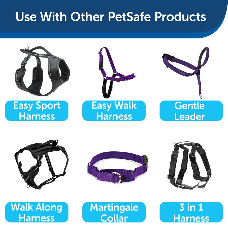 Premier Leash, 1 by 6-Feet, Deep Purple