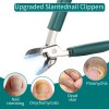 3pcs Cortaúñas Biselado Pico Águila Super Afilado Alicates
