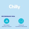 CHILLY GEL INT 250ML ANTIBACTERIAS