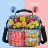 FlowFly Double Layer Cooler Insulated Lunch Bag Adult Lunch Box